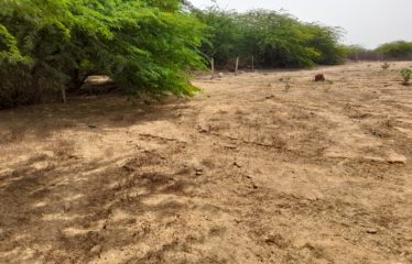 SOMONE : Terrain de 1 087 m2 proche lagune à vendre