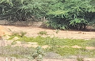 SOMONE : Terrain de 1 087 m2 proche lagune à vendre