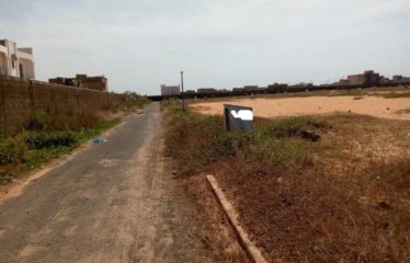 TIVAOUANE PEULH : Terrain à vendre 200 m²