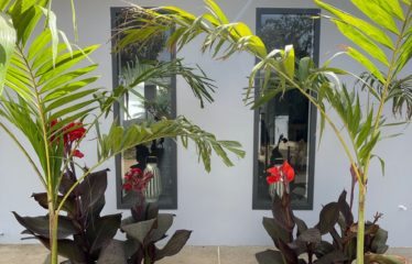 NGAPAROU : Villa neuve à vendre de 4 chambres avec piscine