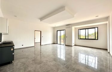 SALY : Vaste appartement à vendre 2 pièces 69M²