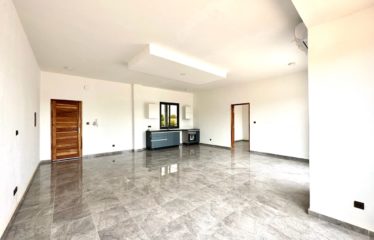 SALY : Vaste appartement à vendre 2 pièces 69M²