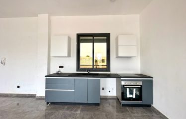 SALY : Vaste appartement à vendre 2 pièces 69M²