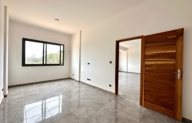 SALY : Vaste appartement à vendre 2 pièces 69M²