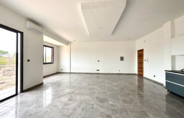 SALY : Vaste appartement à vendre 2 pièces 69M²