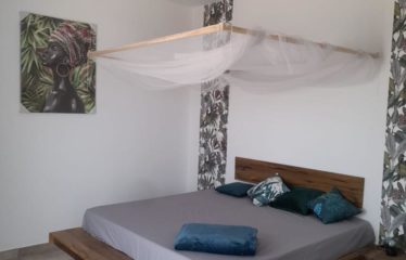 SOMONE : Villa/maison d’hôtes contemporaine 7 chambres à vendre