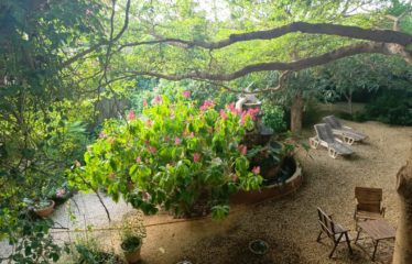 NGAPAROU : Villa 5 chambres à vendre avec bail