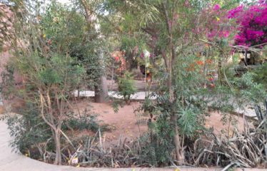 NGAPAROU : Maison d’hôtes à vendre