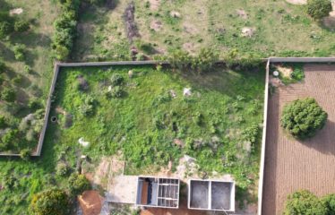 NGAPAROU : Beau terrain à vendre 1984M² clôturé et viabilisé