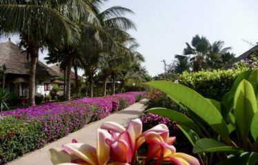 SALY : Villa avec piscine à vendre en résidence