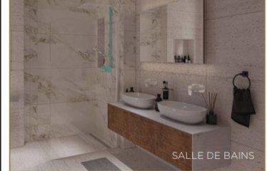 DAKAR ALMADIES : Appartement Penthouse à vendre