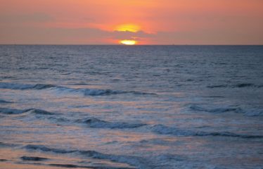 PALMARIN : Terrain 1 123 m2 pieds dans l’eau à vendre