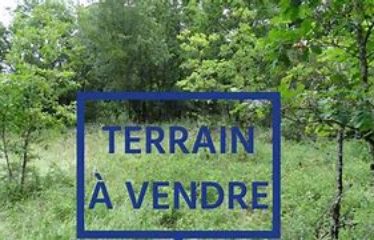 NDANGANE : Terrain de 735 m2 en zone lotie à vendre