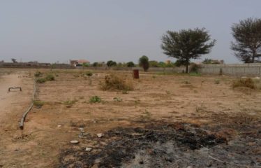 NGAPAROU : Terrain de 6 957 m2 à vendre