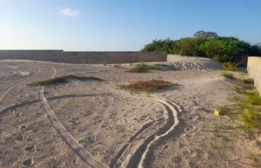 PALMARIN : Terrain 1 123 m2 pieds dans l’eau à vendre