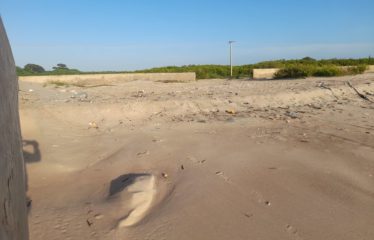 PALMARIN : Terrain 1 204 m2 pieds dans l’eau à vendre