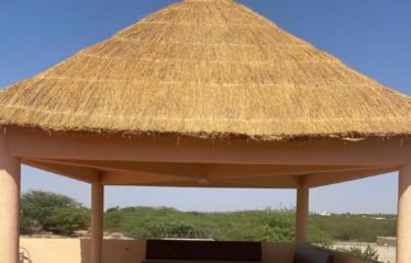 SOMONE : Villa spacieuse avec grande piscine à vendre