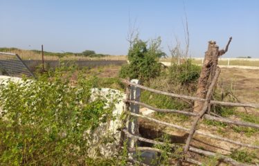 GUÉRÉO : Terrain de 1 200 m2 à vendre