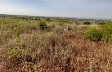 GUEREO : Terrain de 2 609 m2 avec vue panoramique à vendre