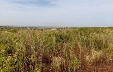 GUEREO : Terrain de 2 609 m2 avec vue panoramique à vendre
