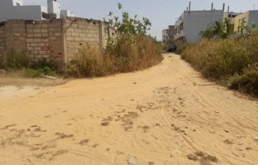 SALY : Terrain de 450 m2 à vendre