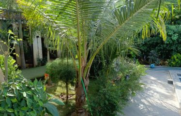 NGUERIGNE : Villa contemporaine 3 chambres/piscine avec un début d’extension à vendre