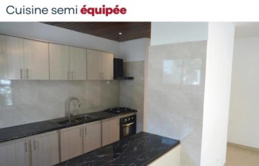 DAKAR ALMADIES : Duplex exceptionnel à louer