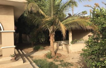 LA SOMONE : Belle villa plain-pied de 3 chambres avec piscine à louer