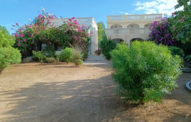 NDAYANE : Originale propriété composée de 2 villas jumelées face à l’océan à vendre