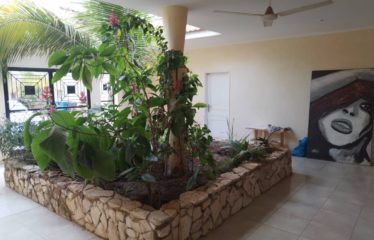 NGUERIGNE : Magnifique villa meublée à vendre