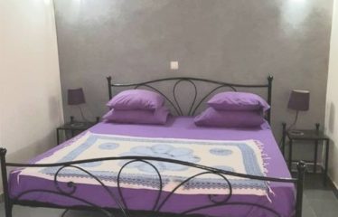 SALY : Jolie villa meublée à vendre