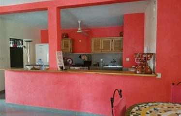 SALY : Jolie villa meublée à vendre