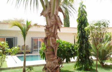 NGUERIGNE : Villa neuve de plain pieds construite en 2021 à vendre