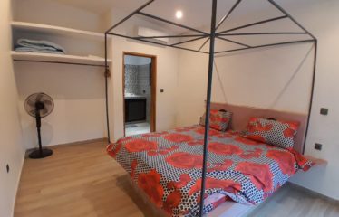 NGAPAROU : Magnifique villa en 2ème ligne de la mer à vendre