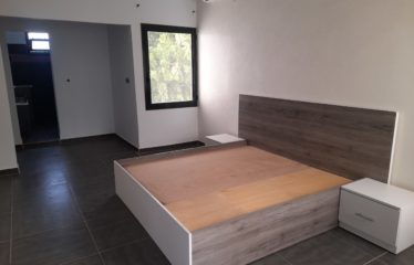 SALY : Villa (TF en cours) 3 chambres et studio avec piscine à vendre