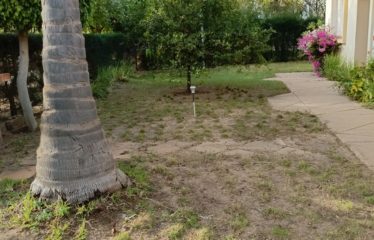 SALY : Villa TF 4 chambres en résidence à vendre