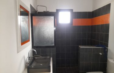 SALY : Villa (TF en cours) 3 chambres et studio avec piscine à vendre