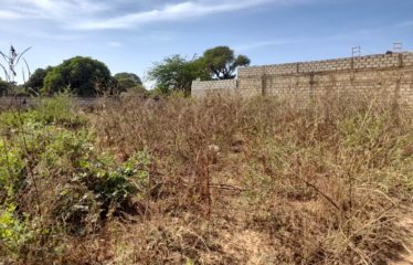 NGUERIGNE : Terrain de 703 m2 à vendre