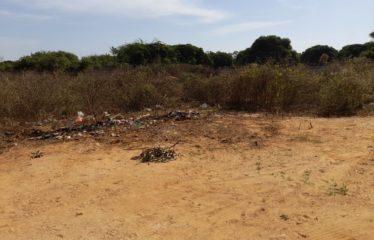 NGUERIGNE : Terrain de 703 m2 à vendre