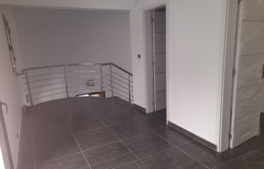 SALY : Villa (TF en cours) 3 chambres et studio avec piscine à vendre