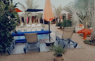 SOMONE : Villa contemporaine plain-pied 3 chambres avec piscine à vendre