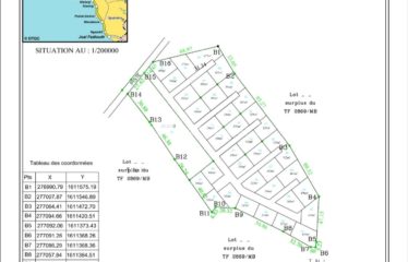 NDAYANE : 38 parcelles à kignembour vendre