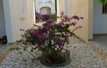 NDAYANE : Originale propriété composée de 2 villas jumelées face à l’océan à vendre