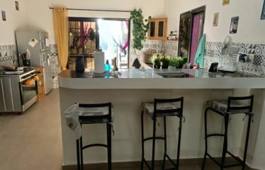 SOMONE : Villa contemporaine plain-pied 3 chambres avec piscine à vendre