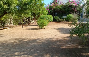 NDAYANE : Originale propriété composée de 2 villas jumelées face à l’océan à vendre