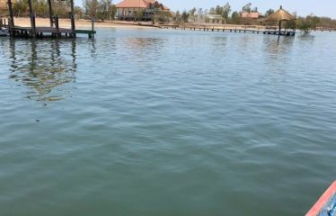 SINE SALOUM : Terrain pieds dans l’eau à vendre