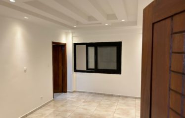 DAKAR-PLATEAU : Appartements F4 et F5 à louer