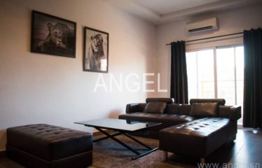 DAKAR LIBERTÉ 6 : Beaux appartements à louer en 2ème et 3ème étage