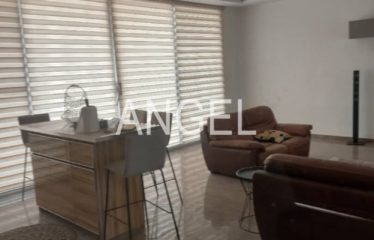 DAKAR ALMADIES : Belle villa de 335 m² de type R+2 à louer