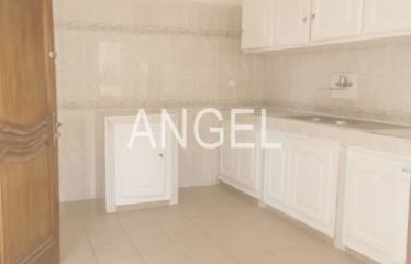 DAKAR ALMADIES : Belle et grande villa à louer à Ngor Diarama